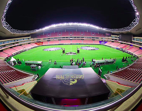 Super Penguin Football Celebrity Game