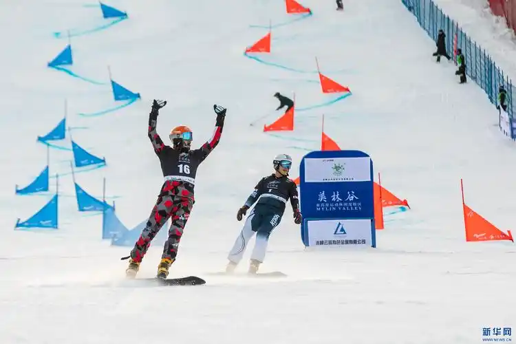 FIS Snowboard Parallel GiantSlalom World Cup 2024-2025